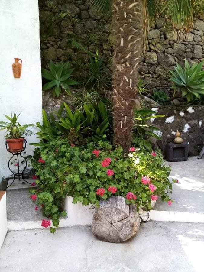 Ribeira Da Praia House Vila Franca do Campo Kültér fotó